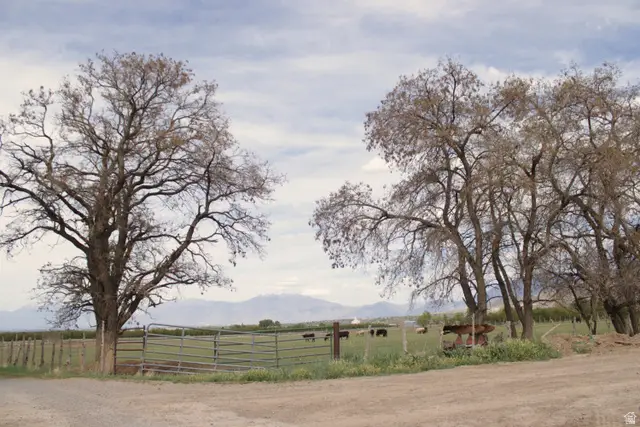 Address Withheld By Seller, Santaquin, UT 84655 - #2