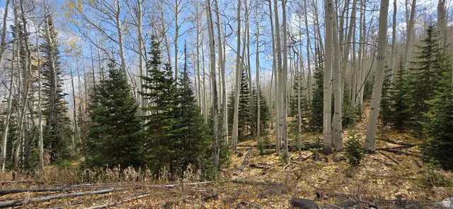 #19, Annabella, UT 84711 - #1