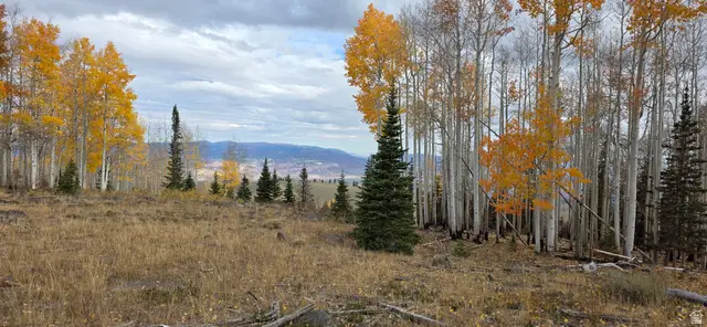 #26, Annabella, UT 84711 - #3