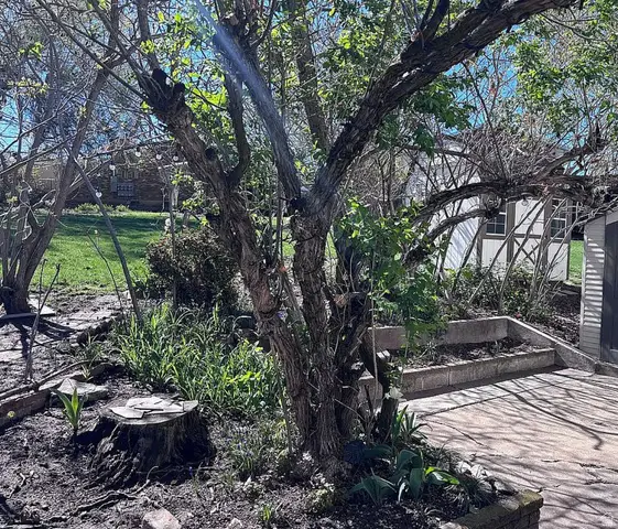 3891 Grandview Dr, Ogden, UT 84403 - #3