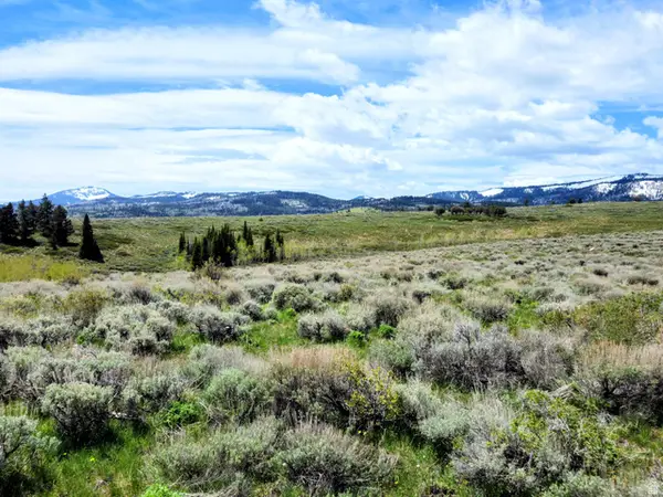 1664 Mill Canyon Rd, Montpelier, ID 83254