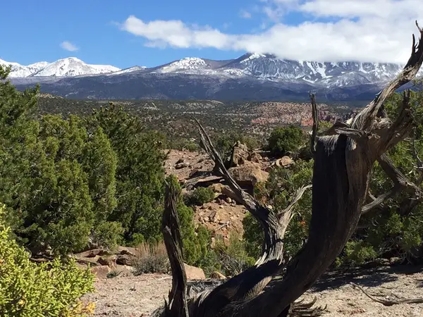 57 W Kane Canyon #17, Moab, UT 84532
