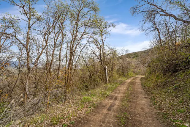 1572 Lower Cyn #72, Midway, UT 84049 - #3
