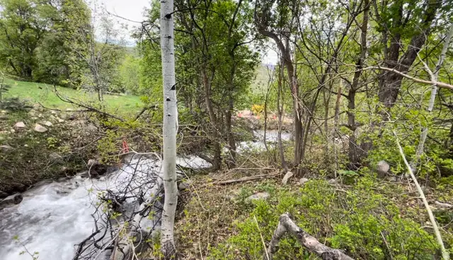 466 N Oakwood Dr #1, Springville, UT 84663 - #3