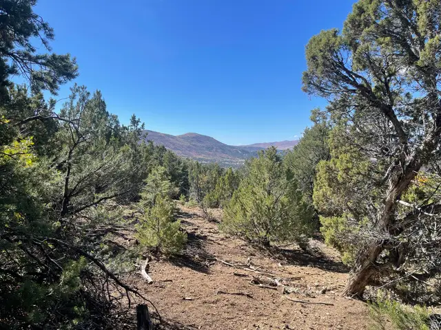 Address Withheld By Seller, Indianola, UT 84629 - #2