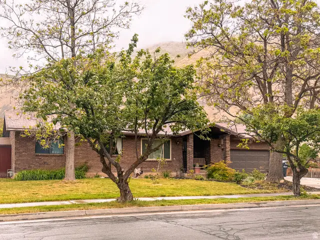 1539 E 450 S, Springville, UT 84663 - #1