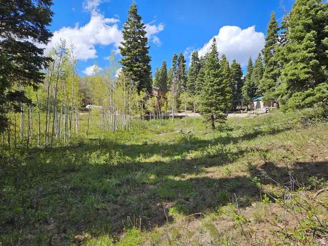 79 E Thads Peak Dr S #J50, Fairview, UT 84629 - #1