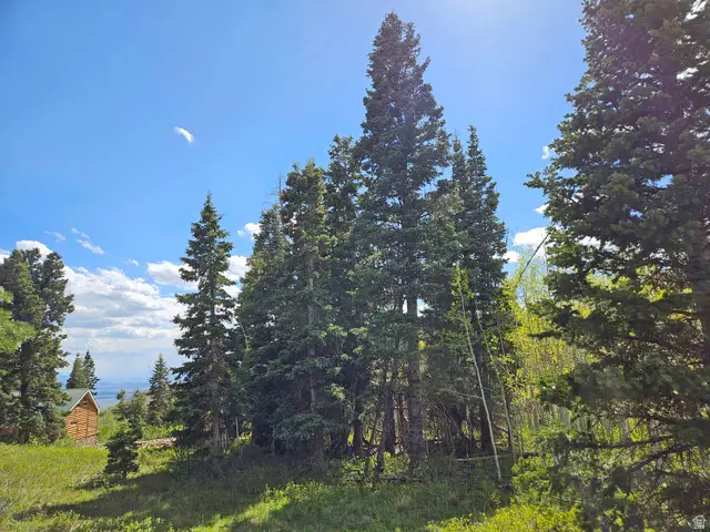 79 E Thads Peak Dr S #J50, Fairview, UT 84629 - #3