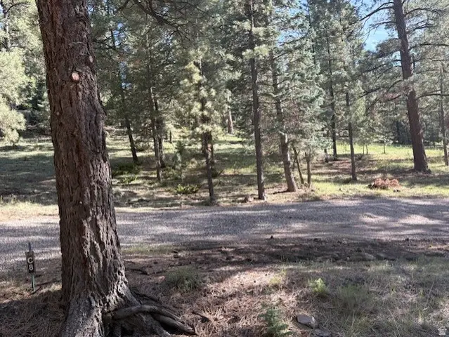 #8+9, Beaver, UT 84713 - #2