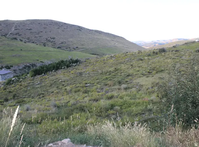 403 E Hollow Dr #7, Wanship, UT 84017 - #2