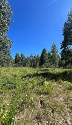 5 Adams Ave #5, Cedar City, UT 84720 - #1