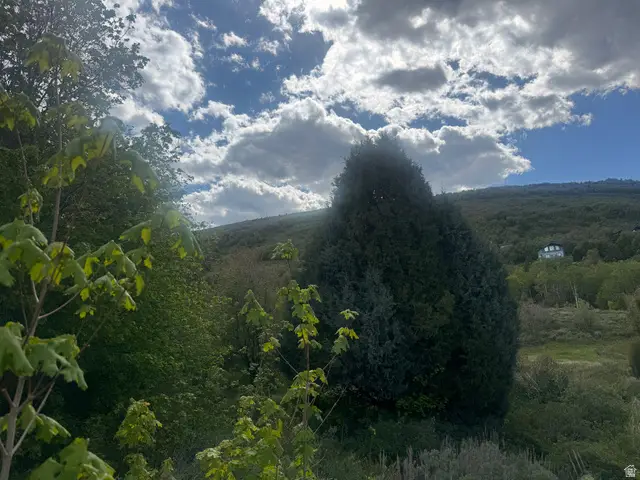 1379 N Broad Hollow Rd, Garden City, UT 84028 - #2