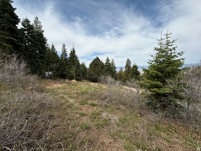 10 Ranch Rd #V10, Mount Pleasant, UT 84647 - #2