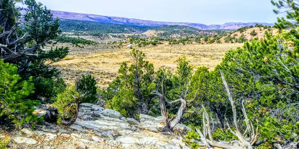 #32, Fruitland, UT 84027