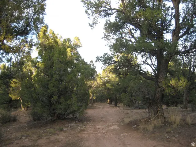Address Withheld By Seller, Fruitland, UT 84027 - #3