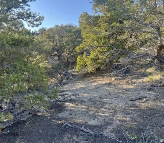 Address Withheld By Seller, Fruitland, UT 84027 - #3