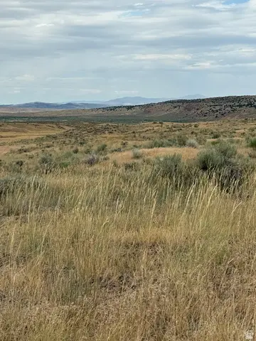 #23, Levan, UT 84639 - #1