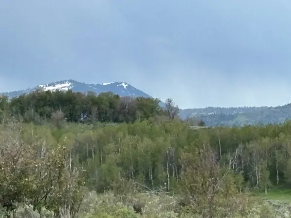 6476 Stauffer Rd #4, Montpelier, ID 83254
