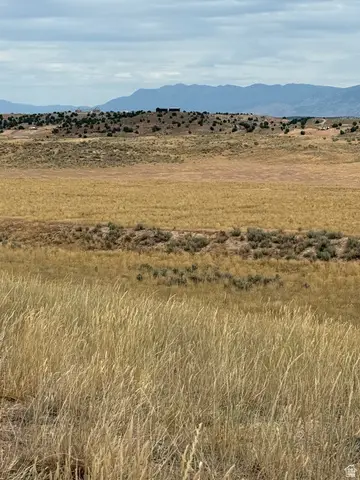 #25, Levan, UT 84639