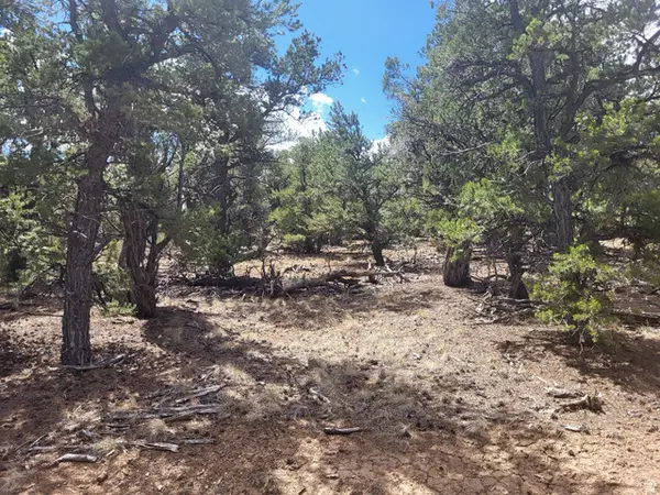 #WP001, Duchesne, UT 84021