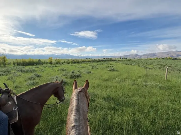 1475 W 6000 N, Oakley, UT 84055 - #3
