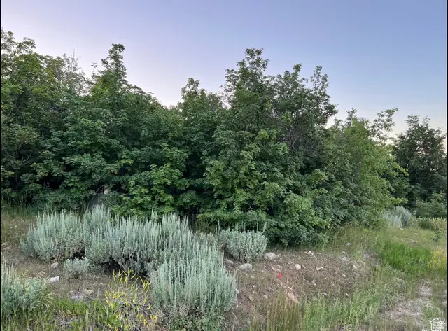 58 Juniper Dr #498, Fish Haven, ID 83287 - #1