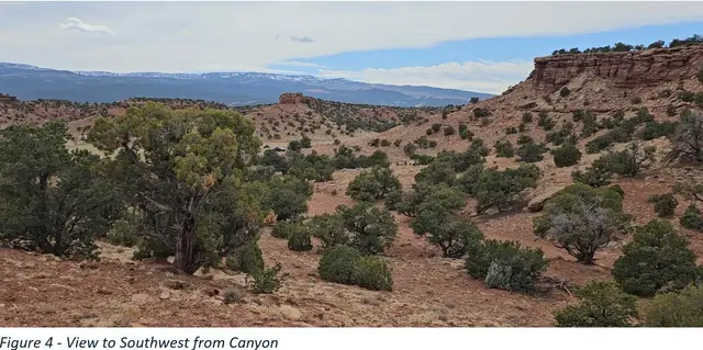 Address Withheld By Seller, Torrey, UT 84775 - #2