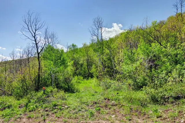 4967 S Woodland Way #25, Kamas, UT 84036 - #1