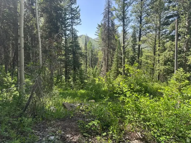 9328 E Wild Clematis Ln, Brighton, UT 84121 - #2