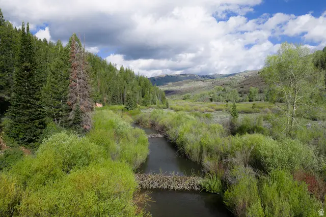 Address Withheld By Seller, Woodland, UT 84036 - #2