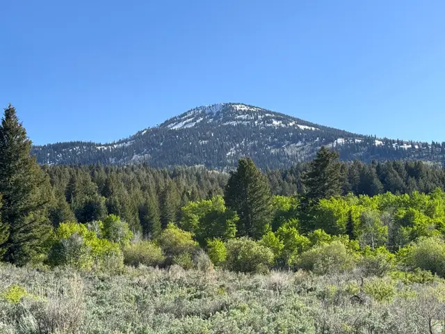 1200 S Lands Creek Rd E, Albion, ID 83311 - #1