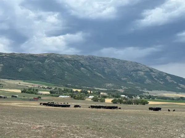 #10, Clifton, ID 83228