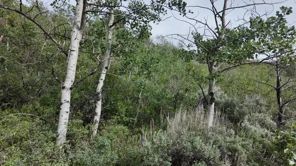 4060 Wildlife Way #443, Kamas, UT 84036