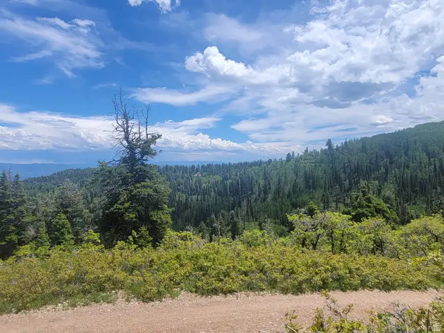 1920 W Elk Rd #78, Coalville, UT 84017 - #1