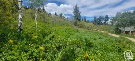 1920 W Elk Rd #78, Coalville, UT 84017