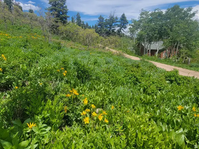 1920 W Elk Rd #78, Coalville, UT 84017 - #2