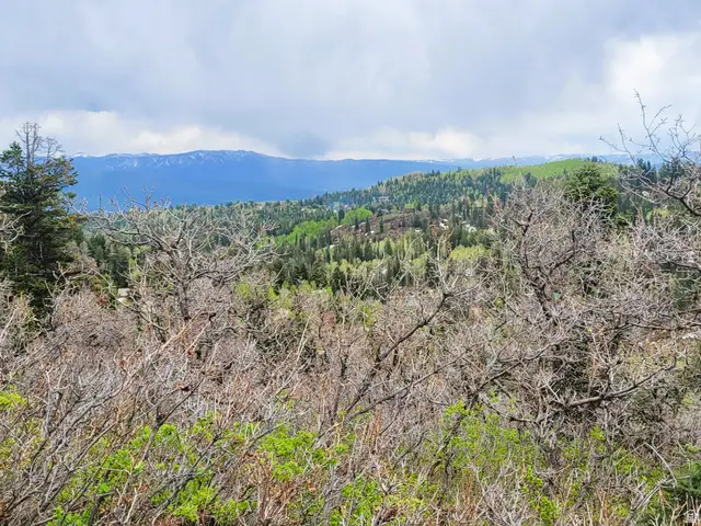 1920 W Elk Rd #78, Coalville, UT 84017 - #3