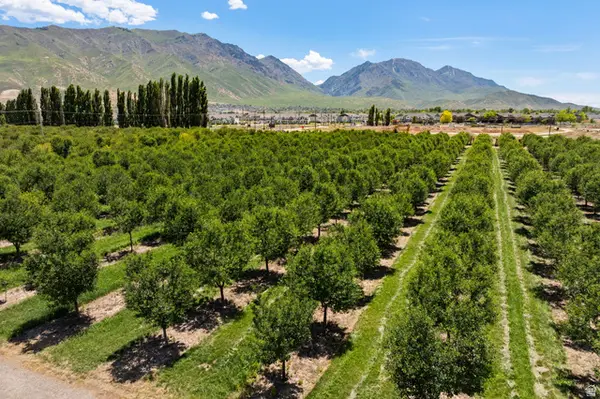Address Withheld By Seller, Santaquin, UT 84655
