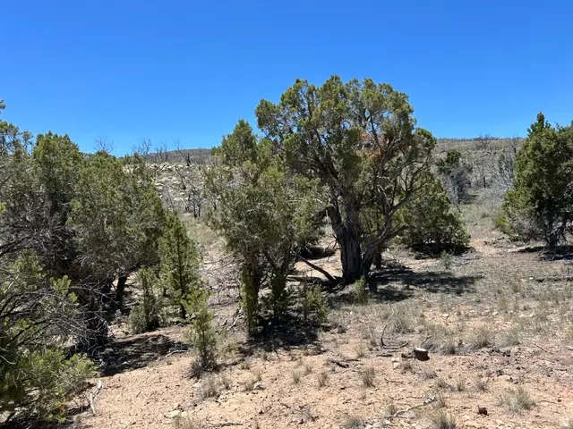 Address Withheld By Seller, Fruitland, UT 84027 - #1
