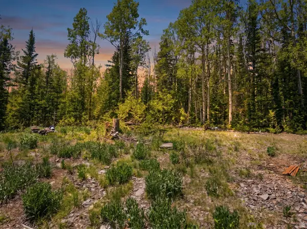 615 E Old Rd, Brian Head, UT 84719