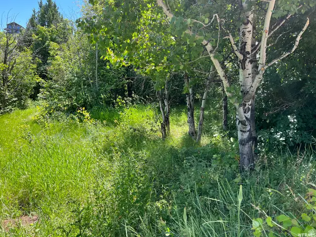 1320 N Sculpin Loop #T96, Garden City, UT 84028 - #1
