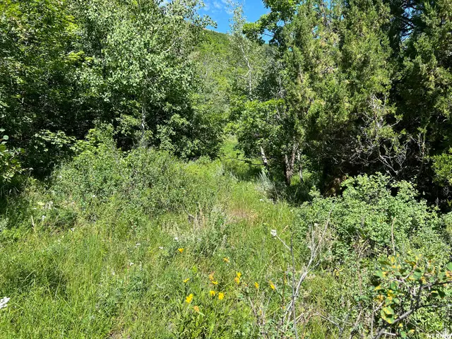 1320 N Sculpin Loop #T96, Garden City, UT 84028 - #2