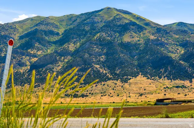 9141 N Highway 38, Deweyville, UT 84309 - #3