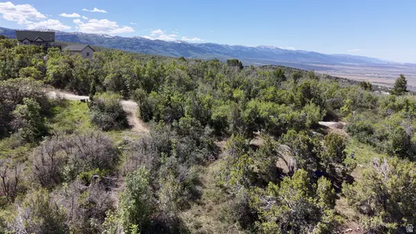 22045 N 14377 E #20, Fairview, UT 84629