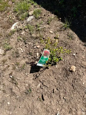 #3,4, Indianola, UT 84629 - #3
