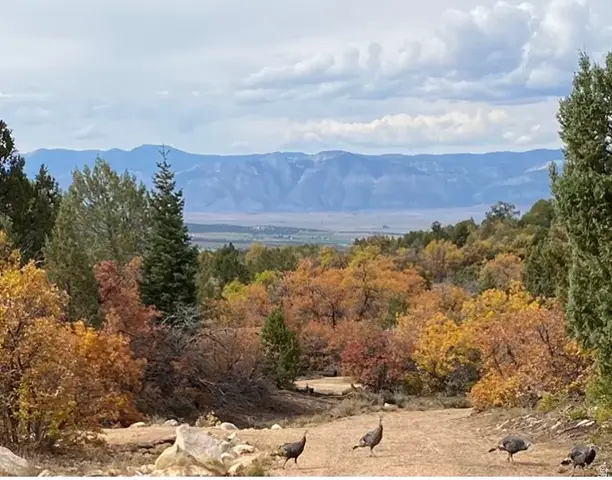 Address Withheld By Seller, Mount Pleasant, UT 84647 - #1