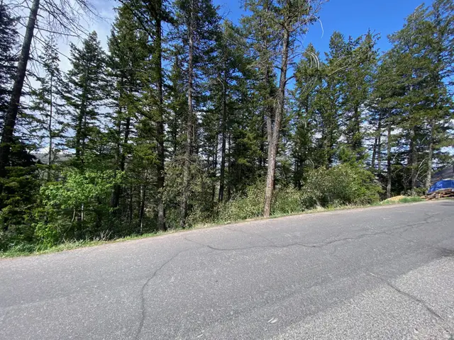 446 Upper Evergreen Dr #60, Summit Park, UT 84098 - #3