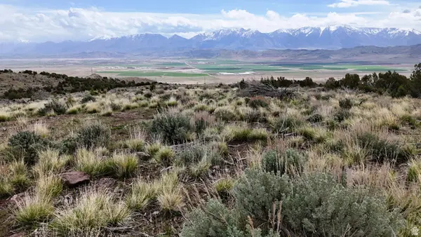 123 W Tbd Willow Spring Rd, Goshen, UT 84633
