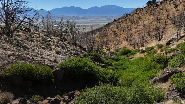 123 W Tbd Willow Spring Rd, Goshen, UT 84633 - #2