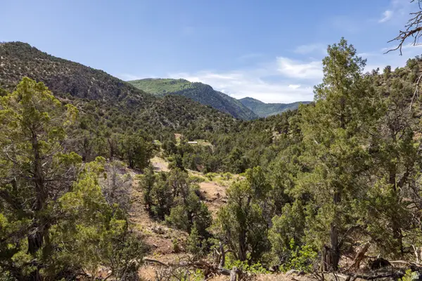 4 La Sal Pass Spur, Moab, UT 84532